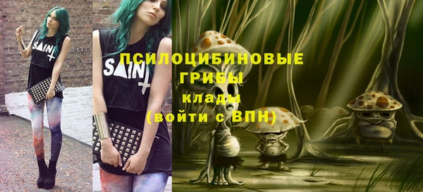 спиды Алексеевка