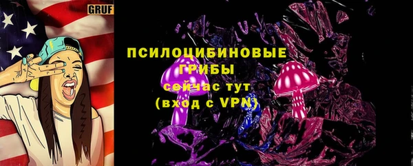 спиды Алексеевка