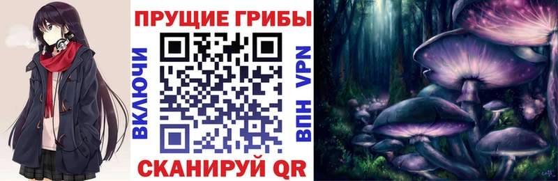 Галлюциногенные грибы Psilocybine cubensis  Калтан 
